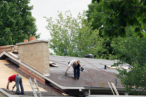 Best Asphalt Shingle Roofing  in Young Harris, GA